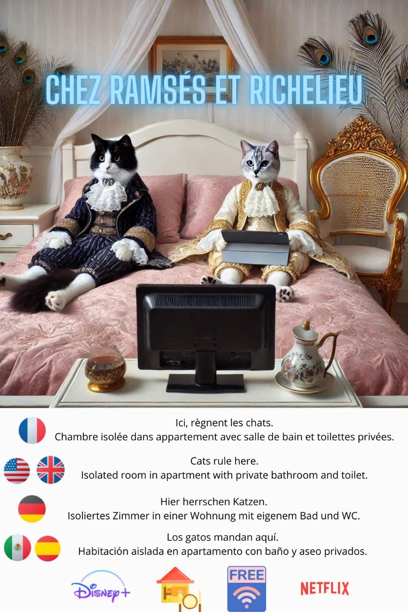 Chez Ramses Et Richelieu Bed and Breakfast Pau Eksteriør billede